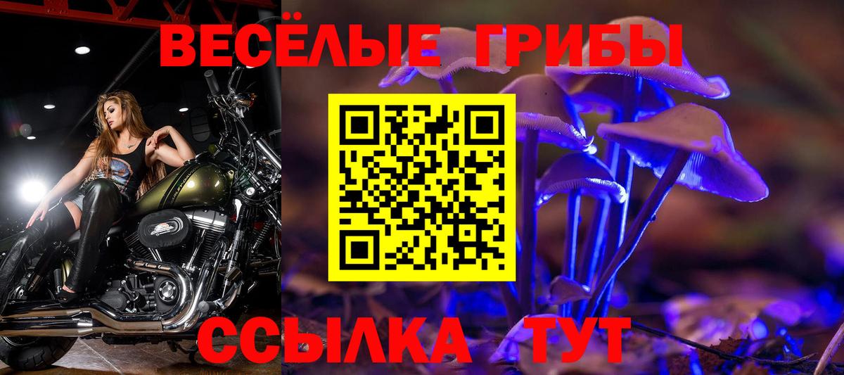 Галлюциногенные грибы прущие грибы Ханты-Мансийск